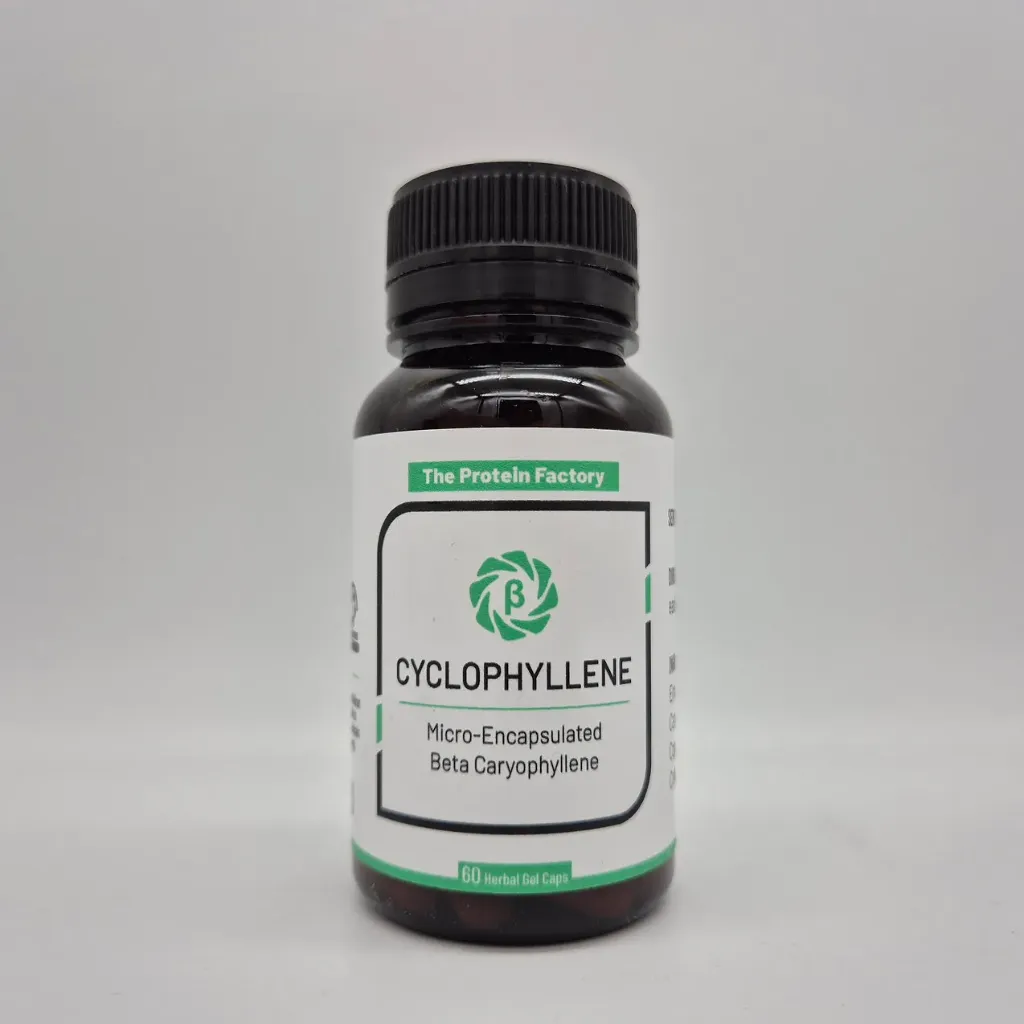 Cyclophyllene (Caryophyllene) [60 Capsules]