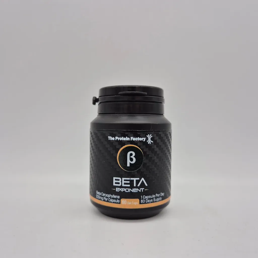 Exponent Beta [60 Capsules]